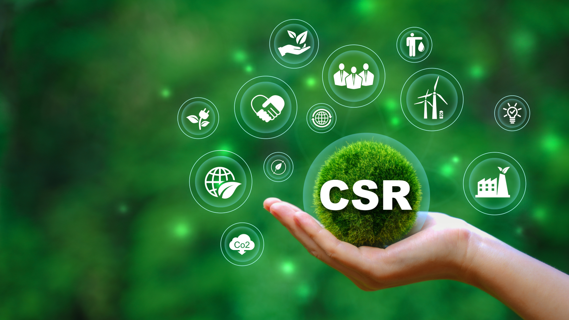 The Role of Governance in Corporate Social Responsibility (CSR)