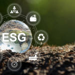 Transforming Governance for a Sustainable Future