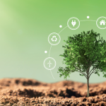 Sustainability and Governance: How They Go Hand in Hand