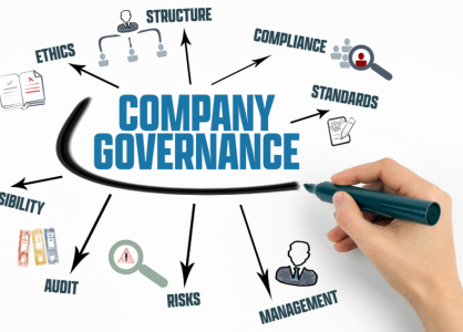 The Role of Governance in Successful Project Execution