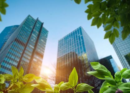 ESG Reporting: Meeting the 2025 Standards
