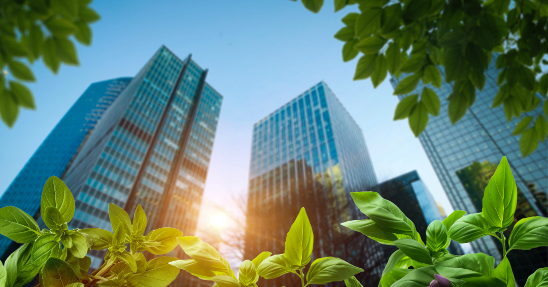 ESG Reporting: Meeting the 2025 Standards