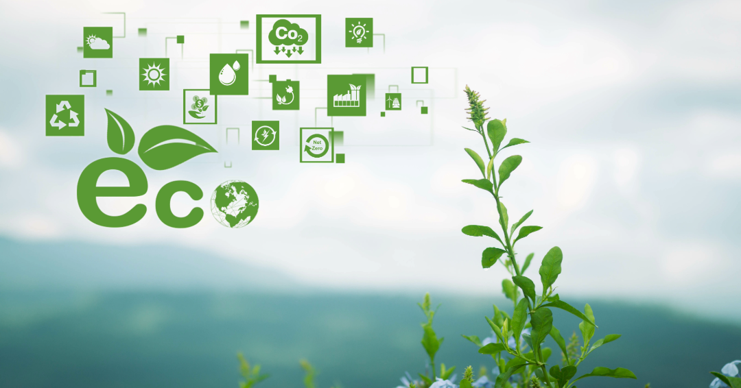 ESG Reporting: Meeting the 2025 Standards