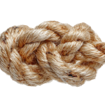 Operational Resilience & Cybersecurity Governance